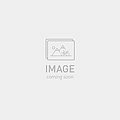 2025  levo sl pro carbon ul bike orgtnt/clgry/cop s6