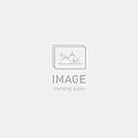 2025 SPECIALIZED LEVO SL PRO CARBON UL BIKE - S1, ORGTNT/CLGRY/COP