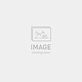 2025 SPECIALIZED LEVO SL PRO CARBON UL BIKE - S1, ORGTNT/CLGRY/COP