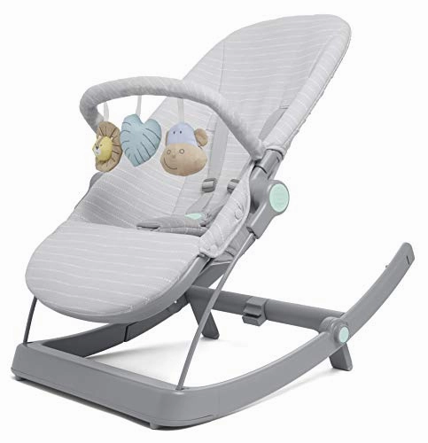 Aden   Anais 3-in-1 Transition Floor Seat