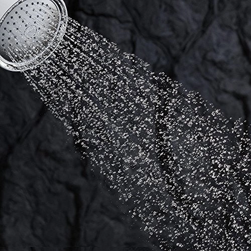 Artifacts Single-Function 2.5 GPM Showerhead with Katalyst Spray, Oil Rubbed Bronze