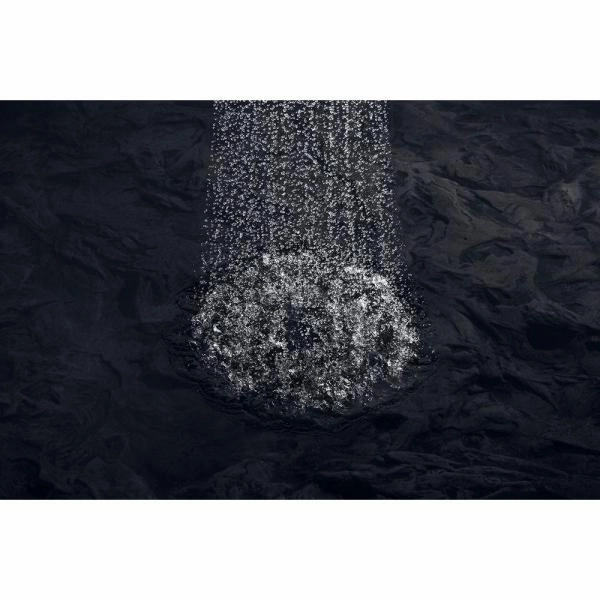 Artifacts Single-Function 2.5 GPM Showerhead with Katalyst Spray, Oil Rubbed Bronze