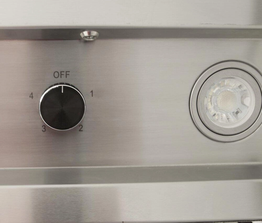 Blaze Grills BLZ42VHOOD Blaze 42" Vent Hood