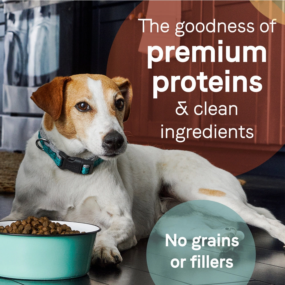 Canidae Grain Free PURE Bison, Lentil & Carrot Recipe Dry Dog Food