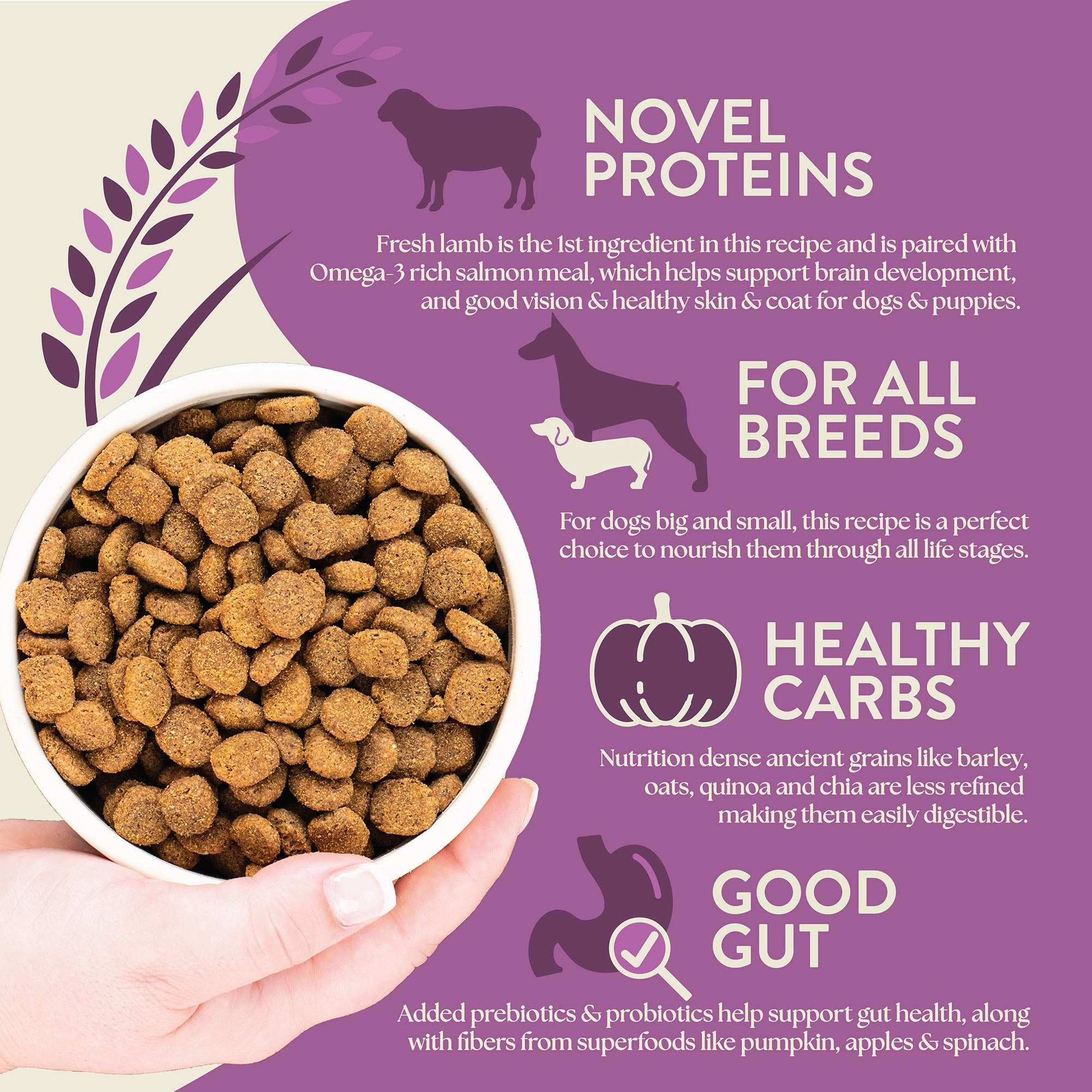 Earthborn Holistic Unrefined Roasted Lamb with Ancient Grains & Superfoods Dry Dog Food 4 lb