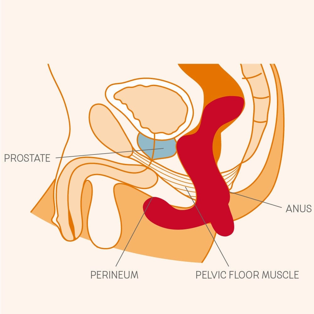 Fun Factory - Duke Prostate Massager