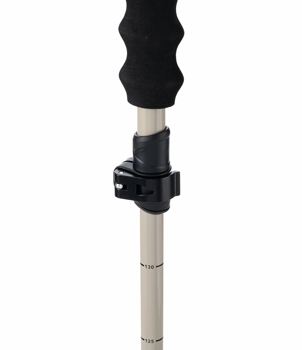 Pahto Ski Pole