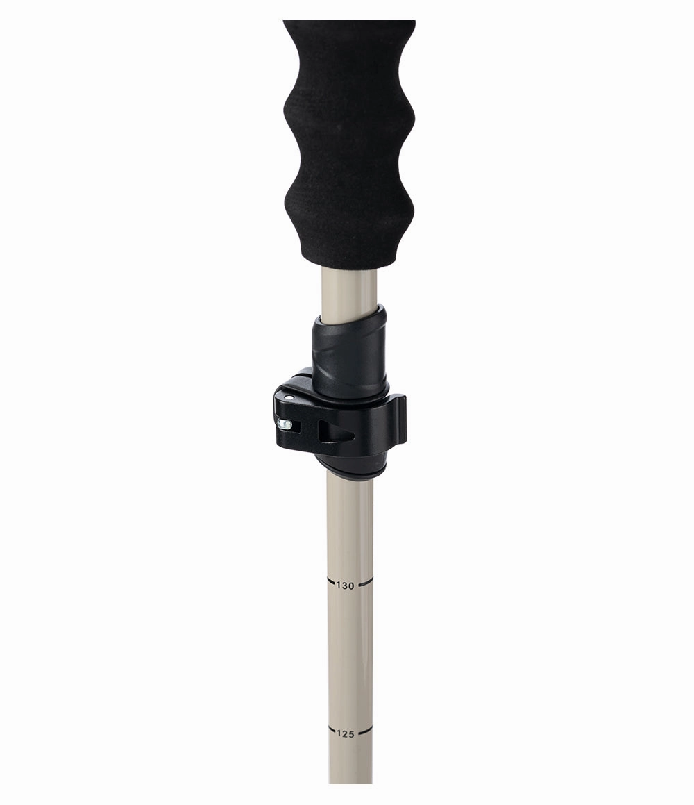 Pahto Ski Pole