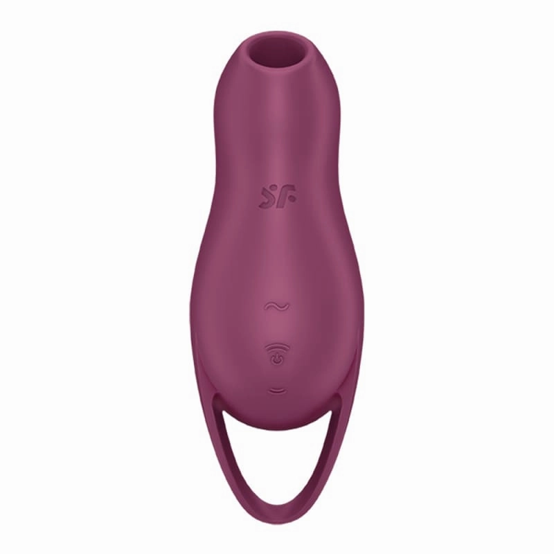 Pocket Pro 1 - Berry