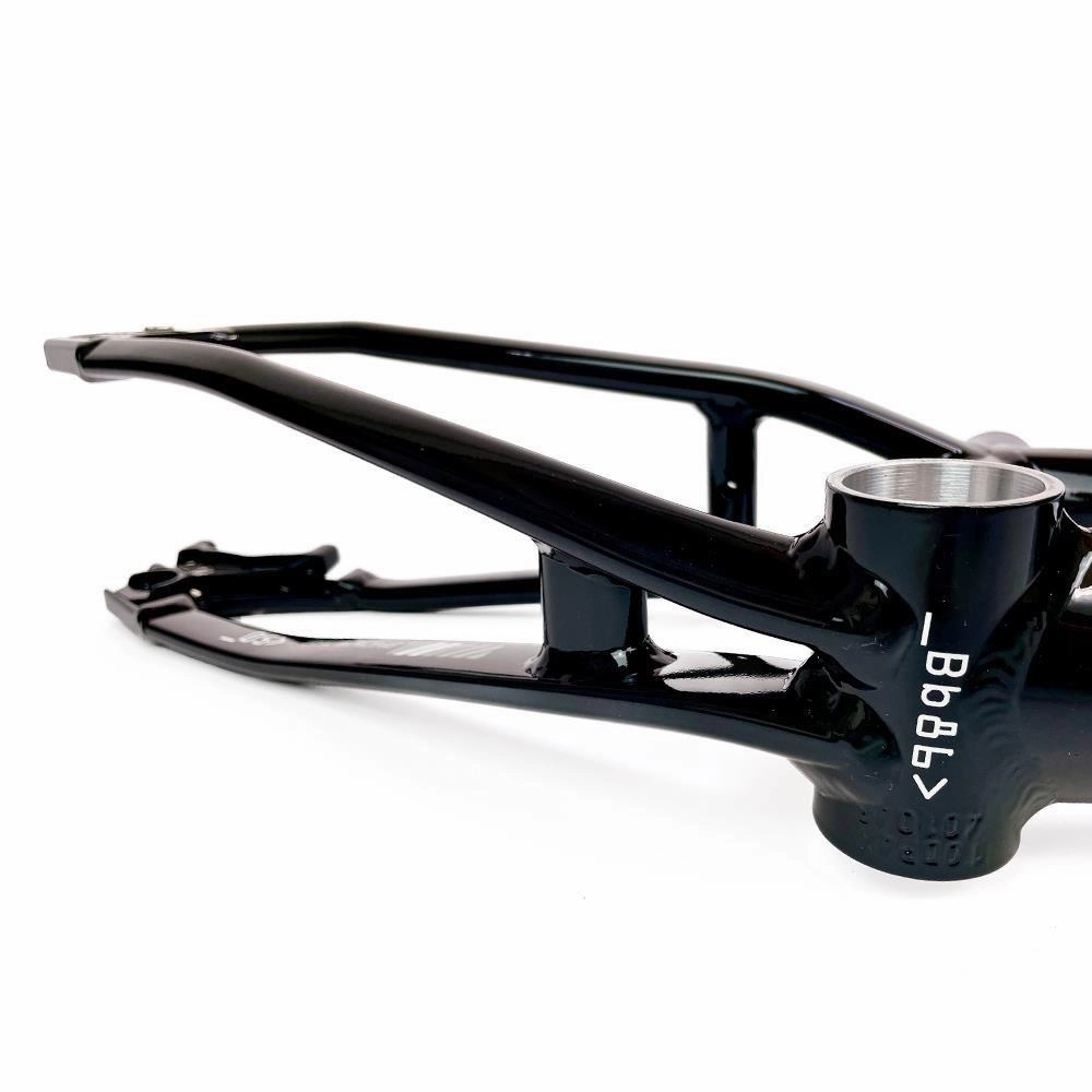 Stay Strong For Life 2024 V5 Pro Race Frame - Disc Version