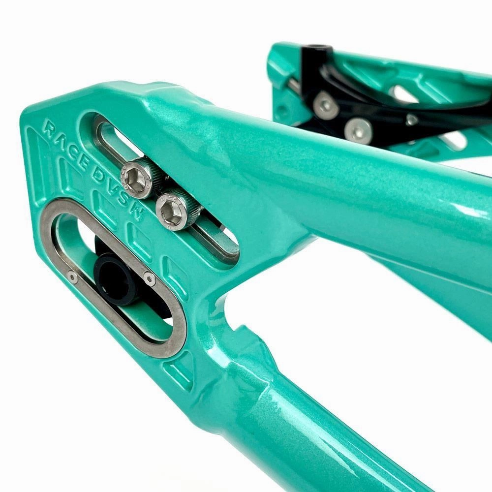 Stay Strong For Life 2024 V5 Pro Race Frame - Disc Version