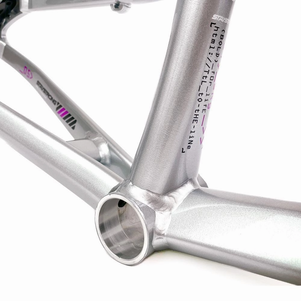 Stay Strong For Life 2024 V5 Pro Race Frame - Disc Version