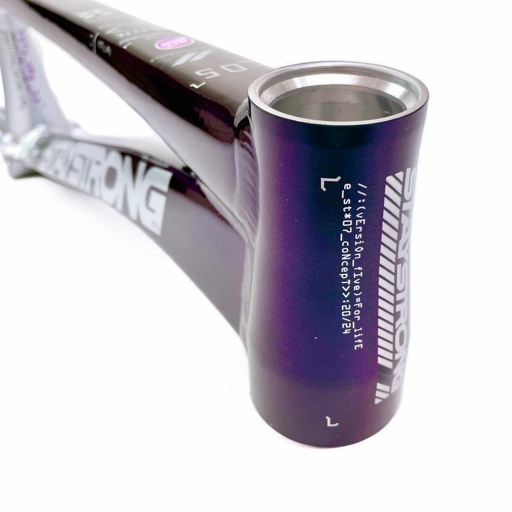 Stay Strong For Life 2024 V5 Pro Race Frame - Disc Version