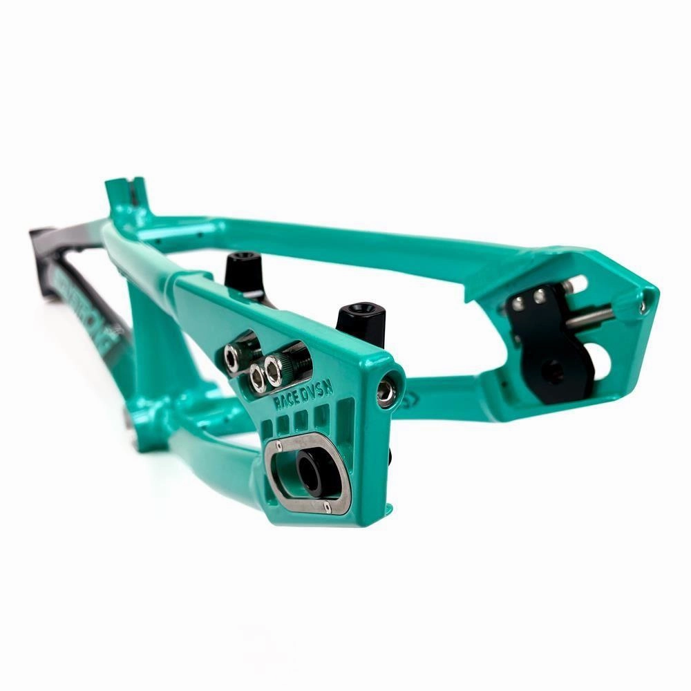 Stay Strong For Life 2024 V5 Pro Race Frame - Disc Version