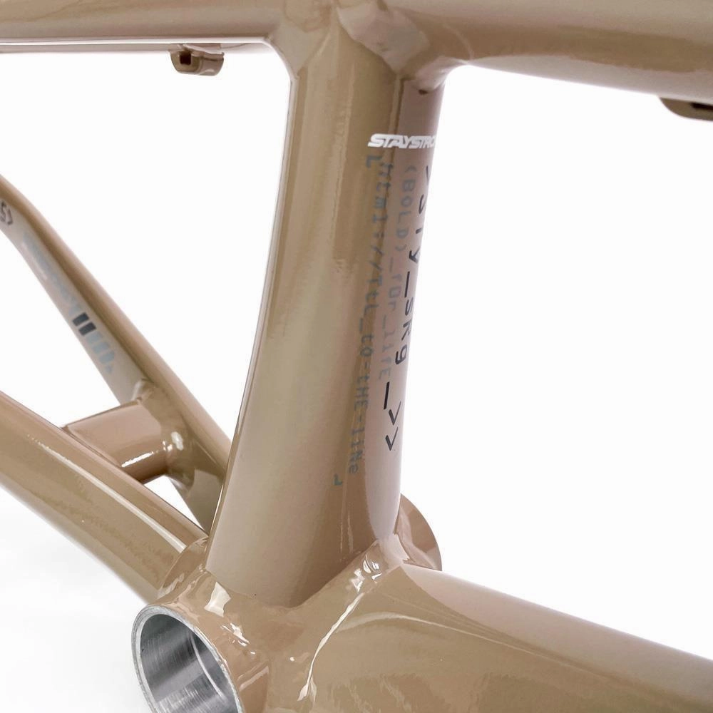 Stay Strong For Life 2024 V5 Pro Race Frame - Disc Version