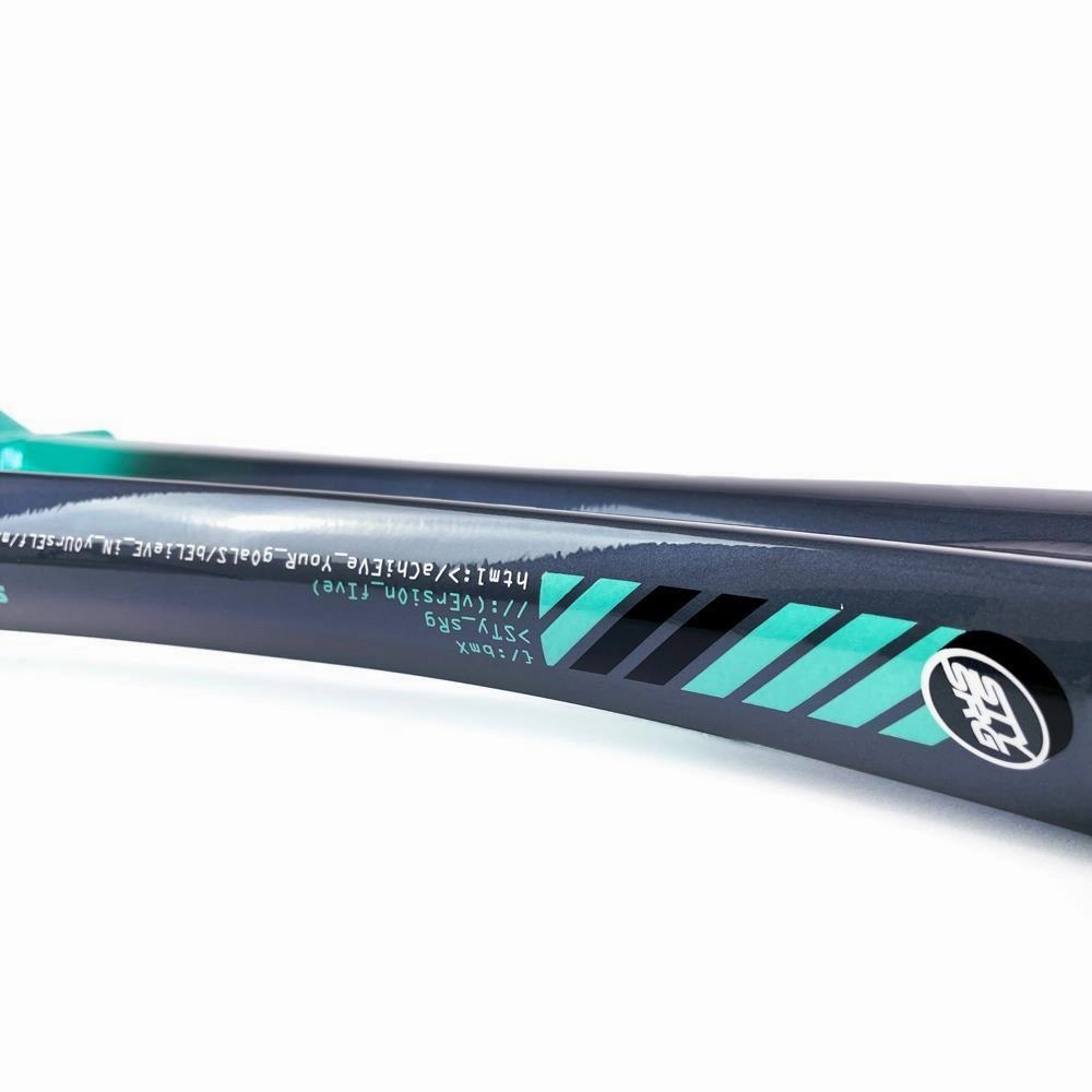 Stay Strong For Life 2024 V5 Pro Race Frame - Disc Version