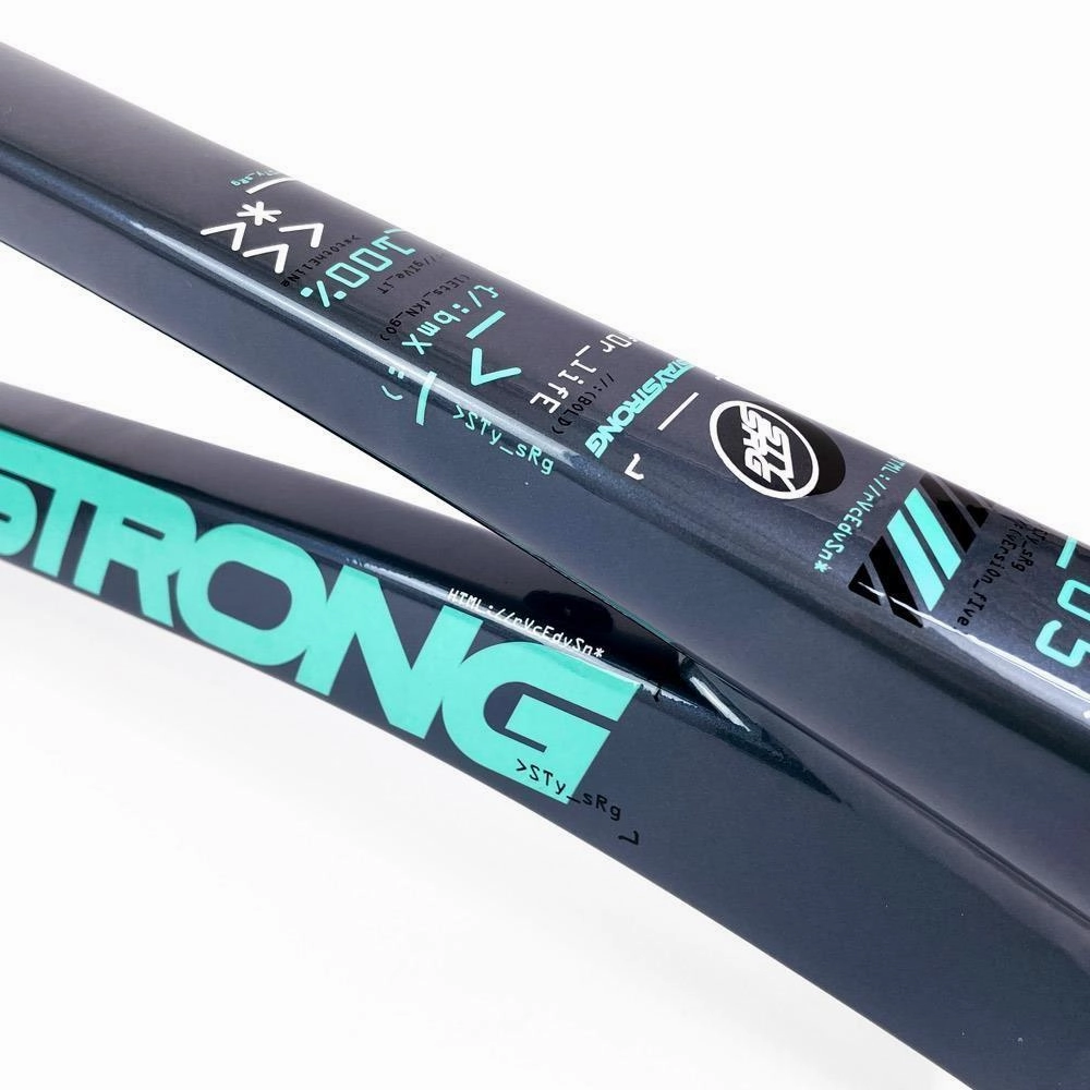 Stay Strong For Life 2024 V5 Pro Race Frame - Disc Version