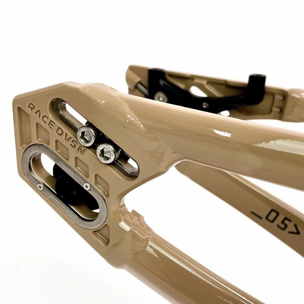 Stay Strong For Life 2024 V5 Pro Race Frame - Disc Version