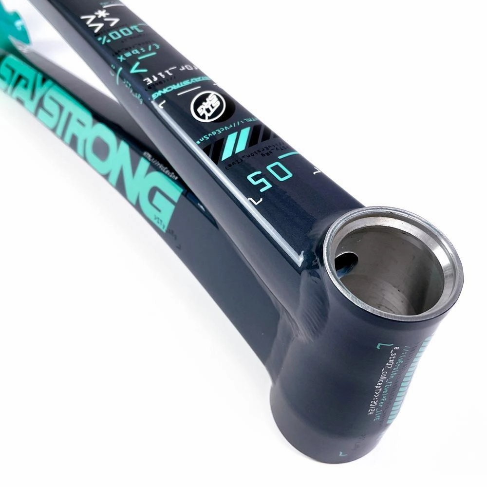 Stay Strong For Life 2024 V5 Pro XXL Race Frame - Disc version